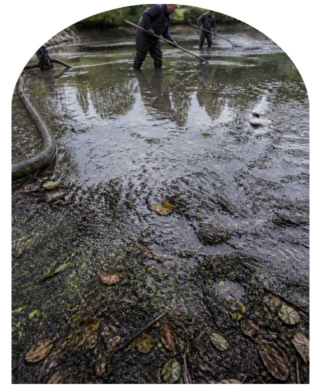 Очистка пруда в Тихорецке от ила мусора и водорослей с вывозом